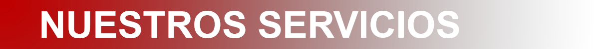 NUESTROS SERVICIOS